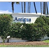 Antigua Village Update - Algae and Docks